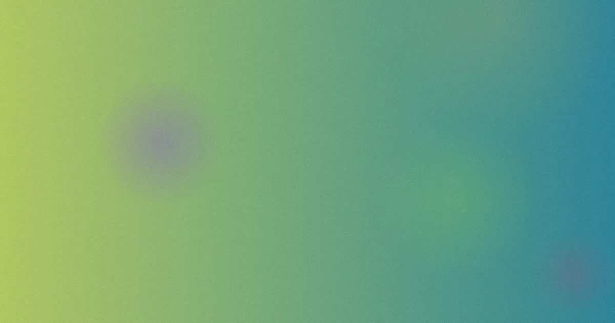 美丽的凯特测评：五步避坑指南